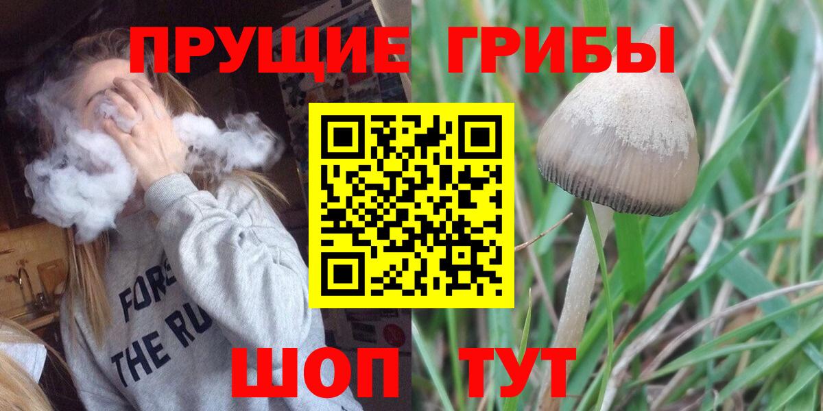 Галлюциногенные грибы Psilocybe Асбест