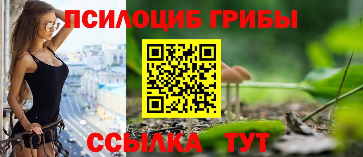 Галлюциногенные грибы Cubensis  наркотики  Асбест  Вход с VPN 